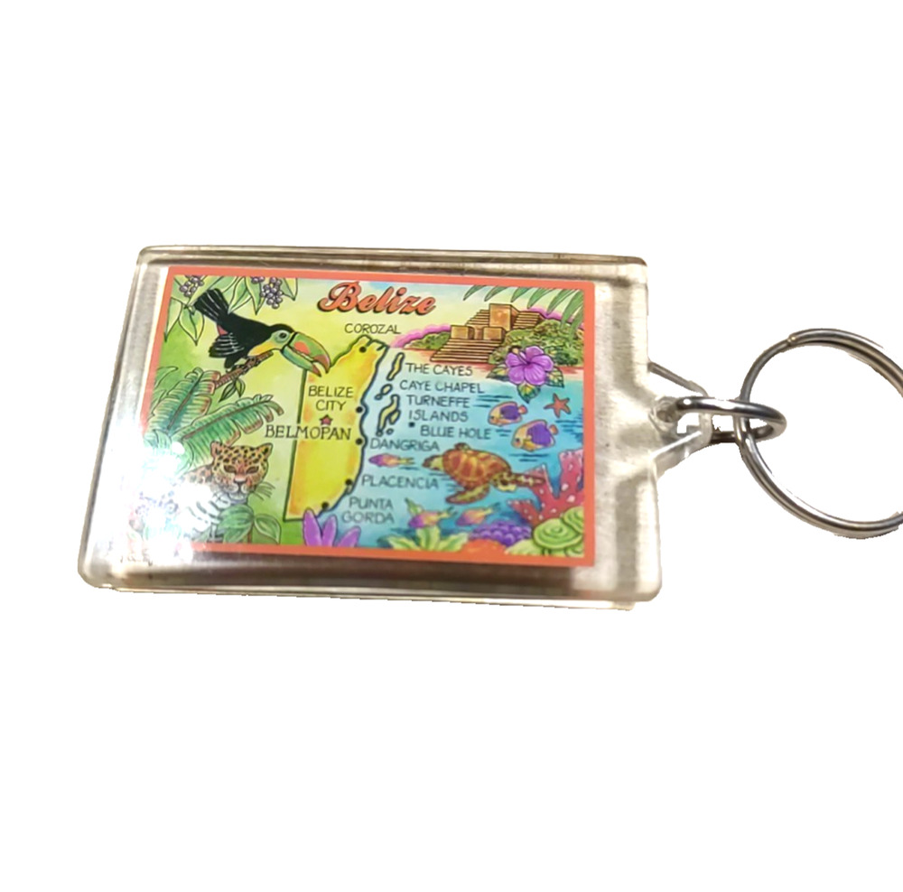 Belize Acrylic Keychain Bird Leopard Turtle Map Souvenir
